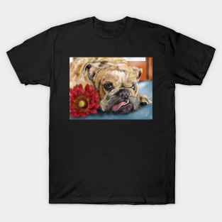 Bulldog with a Red Flower T-Shirt